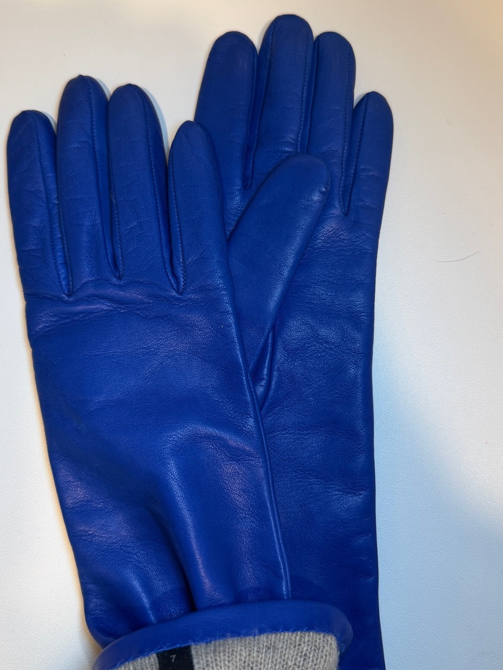 Portolano Royal Blue Leather Gloves